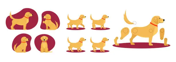 Vector illustration of Vector assets to animate cute dog