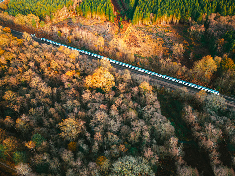 Aerial view, taken by drone, depicting a passenger train traveling through a golden forest in autumn.