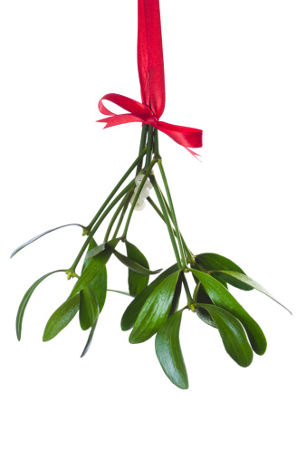 mistletoe bunch hanging on the red ribbon against white backgroundSome similar pictures from my portfolio: