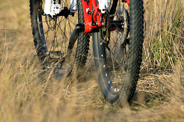 istock Bicycle in the autumn grass 183541773
