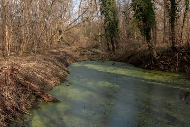 istock River Mura in Slovenia, Europe 1835418663