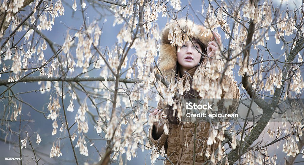 Belle femme ramasser feuilles dans une ancienne érable - Photo de Caroline du Nord - État américain libre de droits