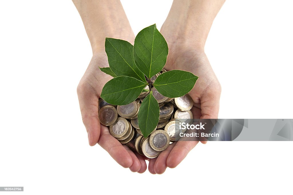 Weibliche Hände halten Münzen und kleine tree - Lizenzfrei Bankgeschäft Stock-Foto