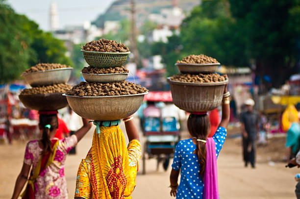 푸쉬카르 전경 - india indian culture women market 뉴스 사진 이미지