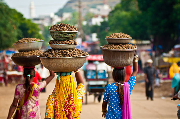 Pushkar Street Scene Sari wearing women carrying dung on their heads india indian culture market clothing stock pictures, royalty-free photos & images