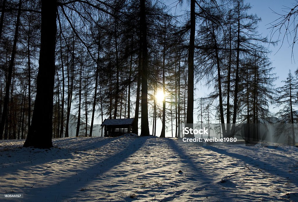 Schatten der Bäume im warmen winter sun - Lizenzfrei Abgeschiedenheit Stock-Foto