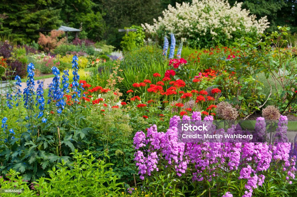 Flores en el jardín ejemplar - Foto de stock de Azulejo - Pájaro libre de derechos