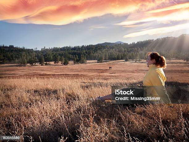 女性ハイカーの牧草地でリラックス夕暮れ時 - 1人のストックフォトや画像を多数ご用意 - 1人, アウトフォーカス, エバーグリーン - コロラド州