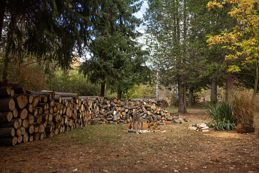 Bunch wood piles for winter cold days outdoors in nature.