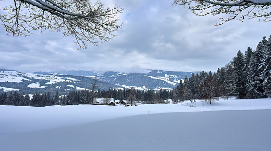 panoramic view over the Bregenz Forest mountains in winter, Vorarlberg, Austria