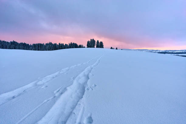 istock wimter landscape in the austrian alsps 1835462119