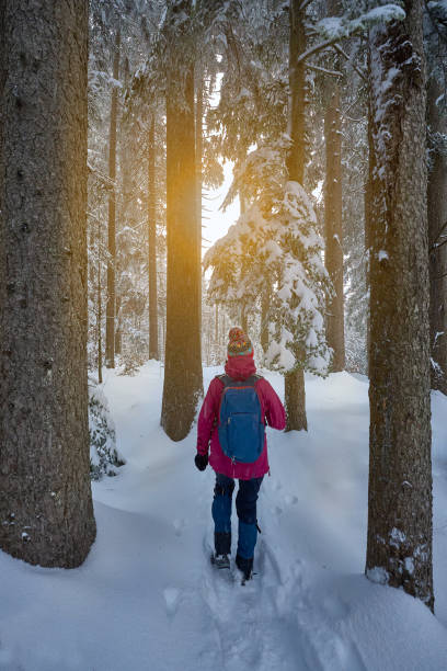 istock woman hike in a snowy forest 1835463675