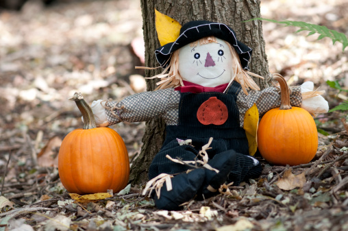 Scarecrow with pumpkins outside in woods. More fall images:
