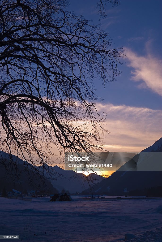 Old traurig Baum in den Sonnenuntergang - Lizenzfrei Abgeschiedenheit Stock-Foto