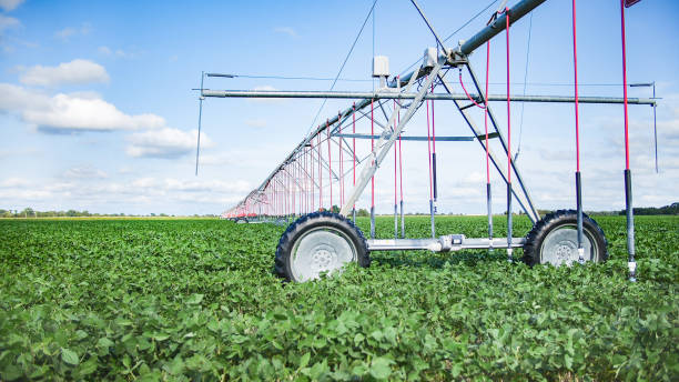 istock Center pivot irrigation in soybean field 1835476821