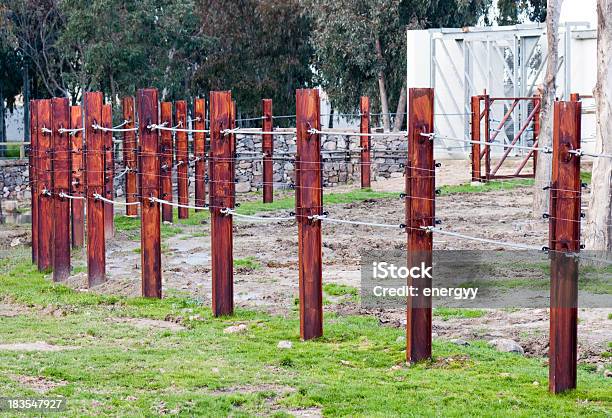 Fence In Zoo Stock Photo - Download Image Now - Backgrounds, Beauty In Nature, Boundary