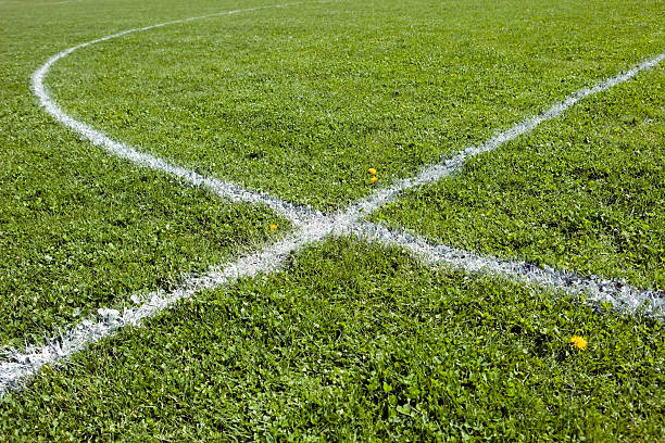 istock Freshly Painted White Soccer Stripes on Green Grass 183548202