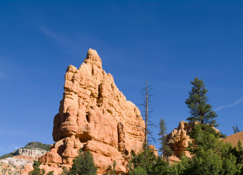 On the way to Bryce Canyon from Interstate 15 you'll pass through the Dixie National Forest and a beautiful area called Red Canyon. There you can stop to see the Salt and Pepper formation and other beautiful red rock formations.There is Room for Text (Copy Space).