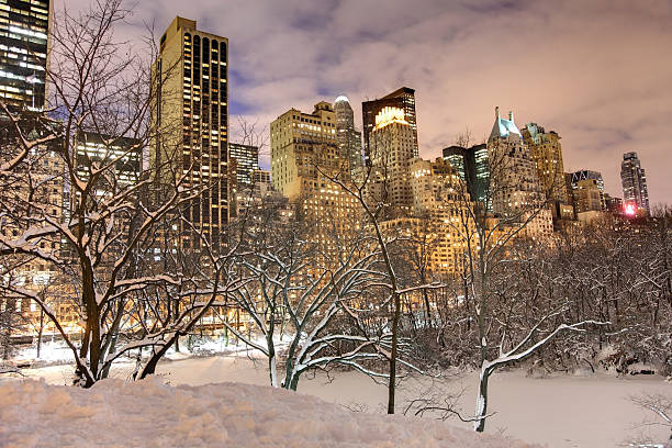 istock Winter in New York City 183549875