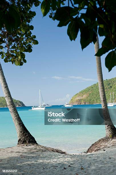 Photo libre de droit de Maho Bay Saint John banque d'images et plus d'images libres de droit de Bateau à voile - Bateau à voile, Bleu, Caraïbes