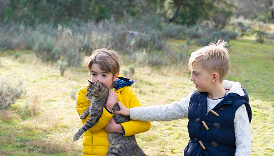 Children with their cat in nature