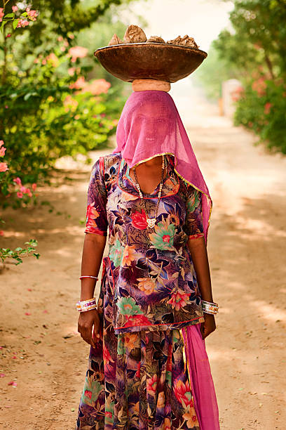 istock Indian woman working in the garden 183550799