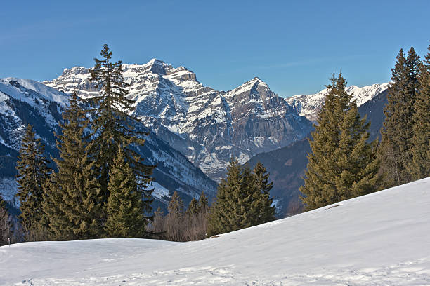 istock Swiss Alps near Matt 183550908
