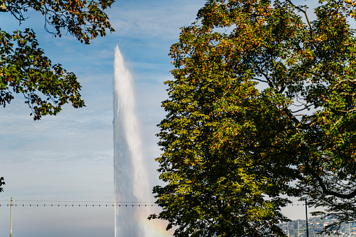 The Geneva Water Fountain (Jet d'Eau) in Switzerland.