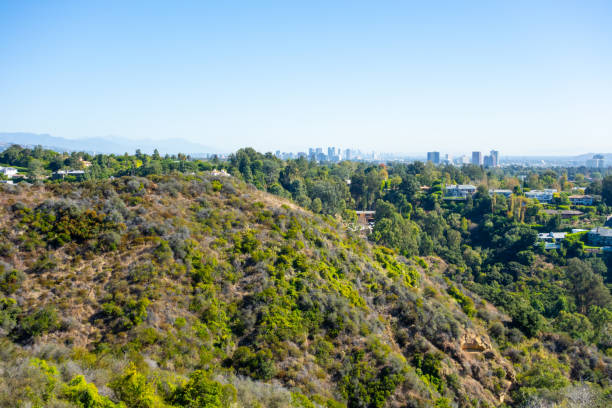 istock Mandeville Canyon Neighborhood 1835535760