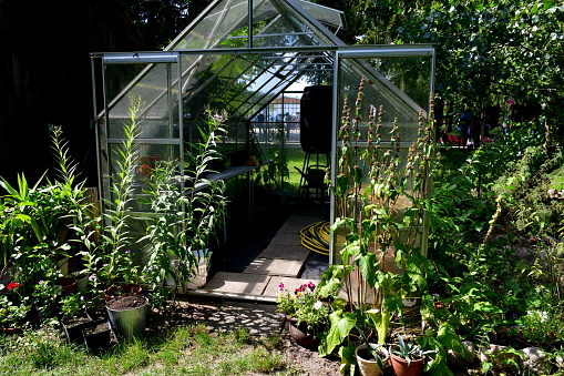 A close up on a small yet well maintained greenhouse full of herbs, shrubs, vegetables, fruits, and other flora located next to a massive lush orchard spotted on a sunny summer day in Poland