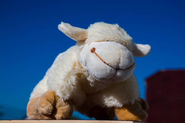 istock Plush puppet and with the blue sky in summer 1835542790