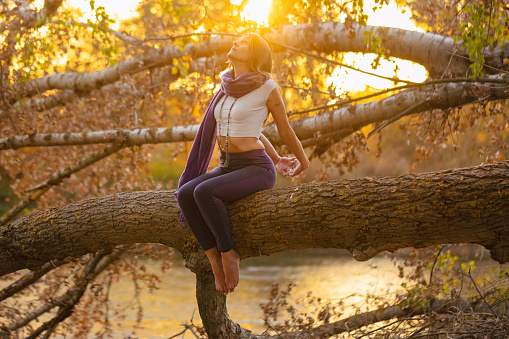 Yoga instructor on a tree, practicing a mindful stretch, blending nature's tranquility with the soothing benefits of stretching exercises.