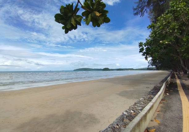 istock the beach is empty and clean near trees and the water 1835549809