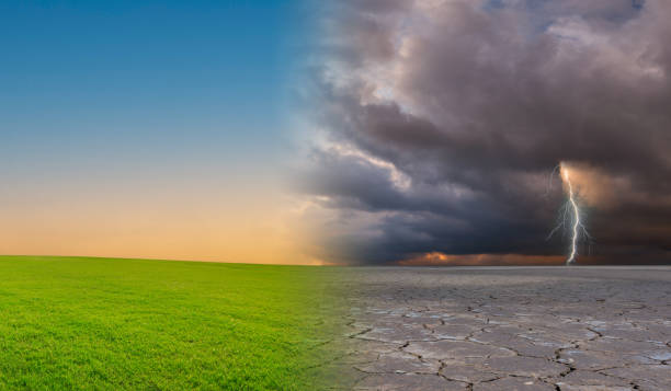 istock Climate change, Dead tree with air pollution and blizzard storm and green grass with beautiful sunlight sky metaphor world nature disaster and global warming concept. 1835562219