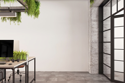 Large blank white wall in eco-friendly office. Desk with desktop computers. A lot of plants on the table and hanging from the ceiling.  Glass door. Render