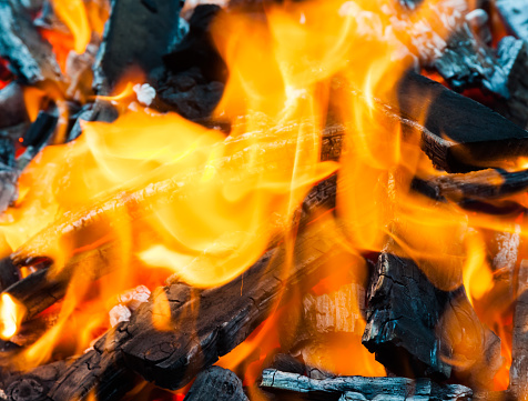 Bonfire is burning, close-up. The firewood is on fire. Bright fire.