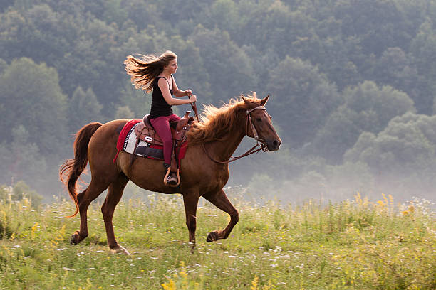 Young girl with a horse stock photo