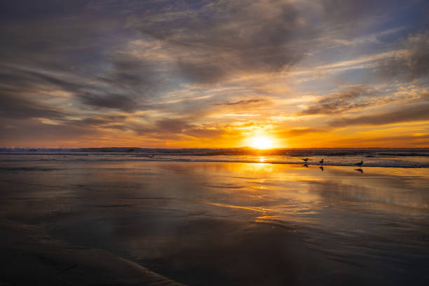 istock Colorful Sunset at Cardiff Beach 1835568238
