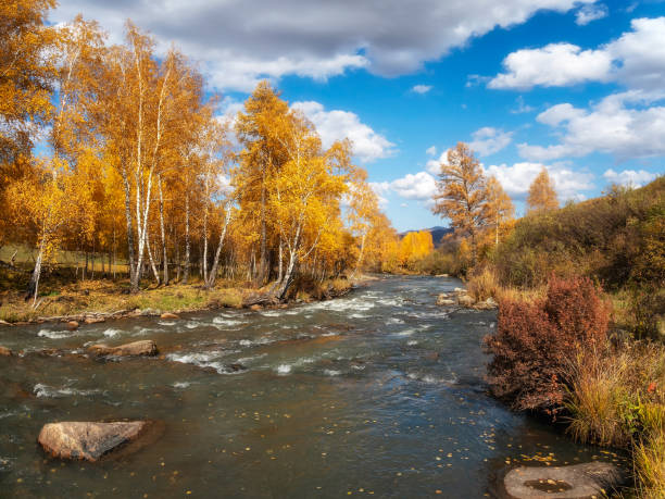 istock Colorful autumn panoramic landscape with golden leaves on trees 1835597171