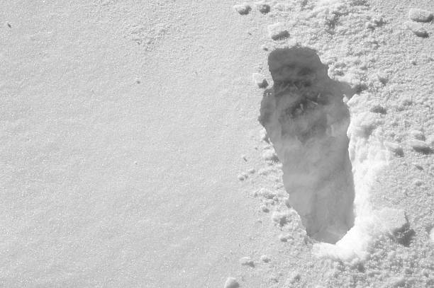 Footstep in the snow stock photo