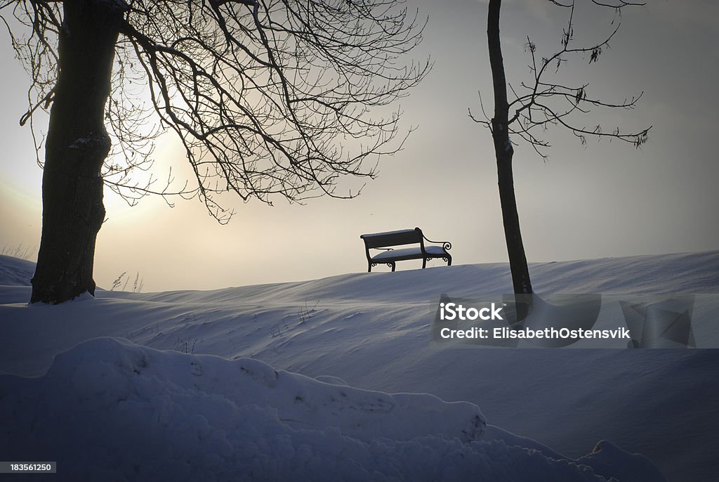 Panca e albero in inverno - Foto stock royalty-free di Albero