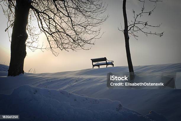 Panca E Albero In Inverno - Fotografie stock e altre immagini di Albero - Albero, Ambientazione esterna, Ambientazione tranquilla