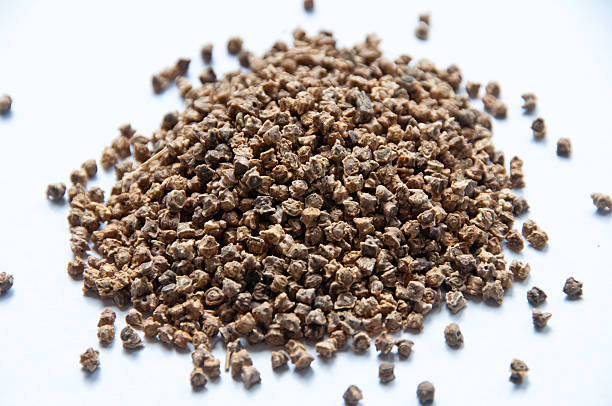 istock Pile of beet seeds 183562224