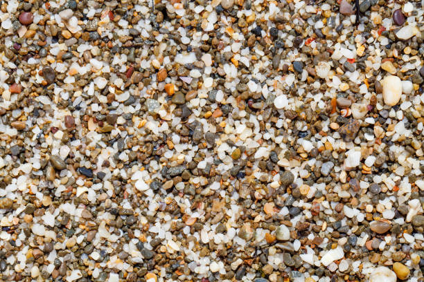 istock wet sand, grains of sand close-up, uniform texture background 1835630928