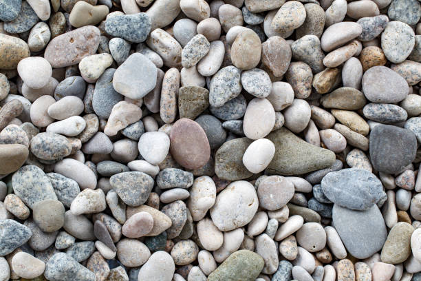 istock Pebbles grey, large round beach sea stones, close-up, top view 1835634486