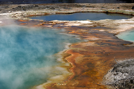Vibrant colors around a hot spring in Yellowstone National Park from thermophilic bacteria growing along the springs edge.