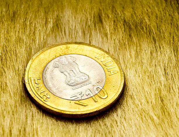 istock Indian rupee lying on a fur carpet 183564174
