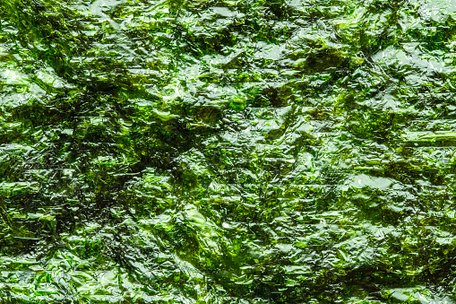 Nori leaf, dried green algae, close-up of surface, green background