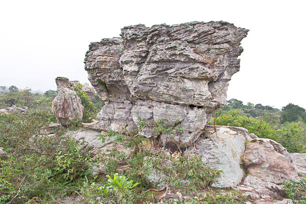 istock Pa Hin Ngam National Park,Thailand 183564675