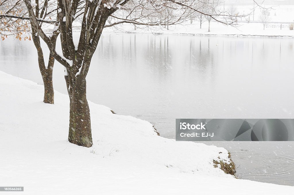Bäume und Teich im Schnee Sturm - Lizenzfrei Ast - Pflanzenbestandteil Stock-Foto